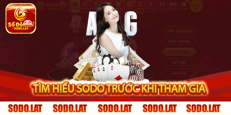 Tìm hiểu SODO trước khi tham gia