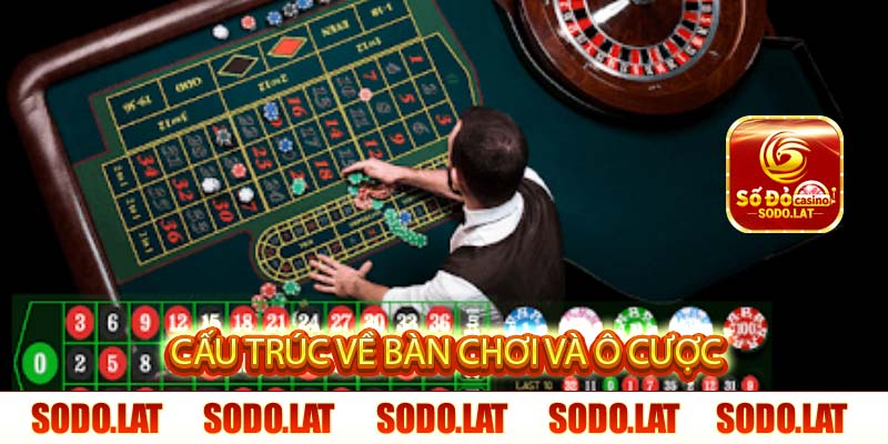 cấu trúc về bàn chơi và ô cược