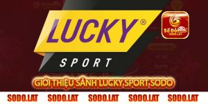 giới thiệu sảnh lucky sport sodo
