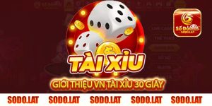 giới thiệu vn tài xỉu 30 giây