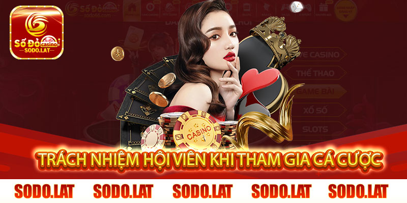trách nhiệm hội viên khi tham gia cá cược